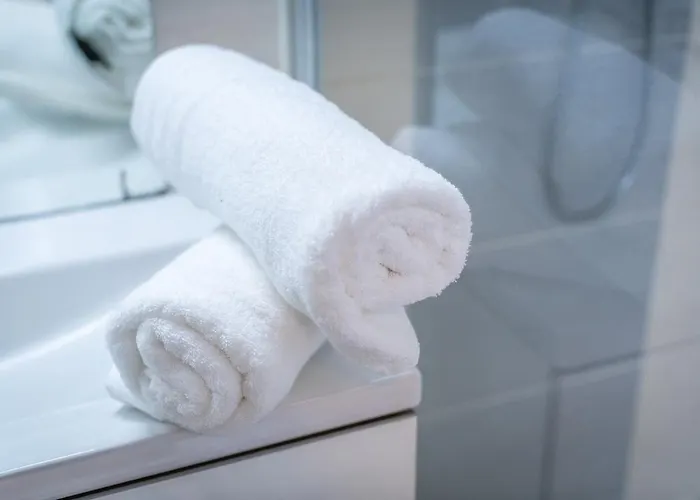 Appartement Hall Et Parking Privé *